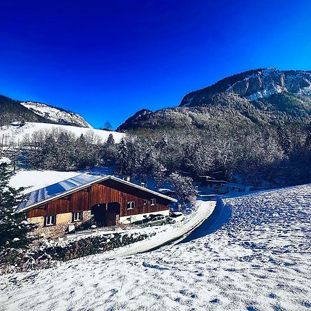Appartement Dans Maison Familiale Bellevaux ภายนอก รูปภาพ